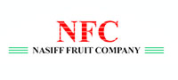 Nassive Fruit Logo